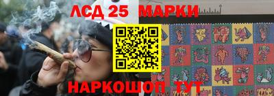 ГАЛЛЮЦИНОГЕННЫЕ ГРИБЫ Камышлов