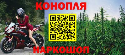 ГАЛЛЮЦИНОГЕННЫЕ ГРИБЫ Камышлов