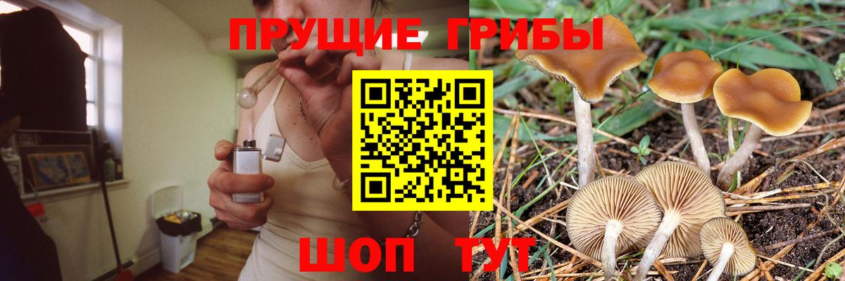 Псилоцибиновые грибы мицелий  Вход с VPN  Кувандык 